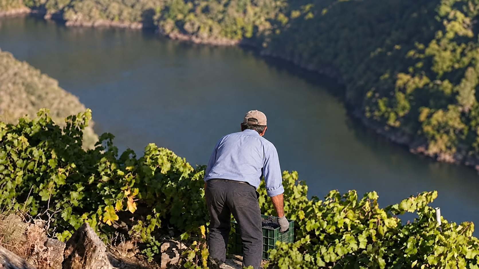 Recreación de un vendimiador con una caja de uvas, con el río al fondo